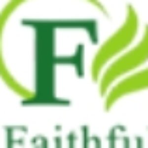 Faithful profiili pilt